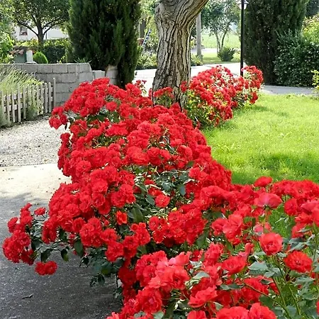 Bed & Breakfast Al Sol Levante