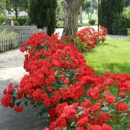 Al Sol Levante Bed & Breakfast