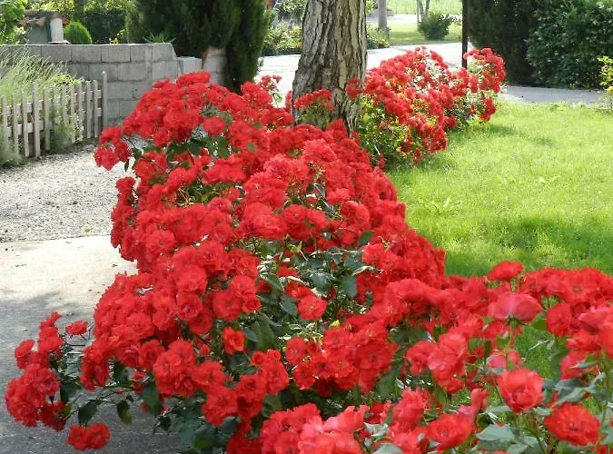 Al Sol Levante Bed and Breakfast